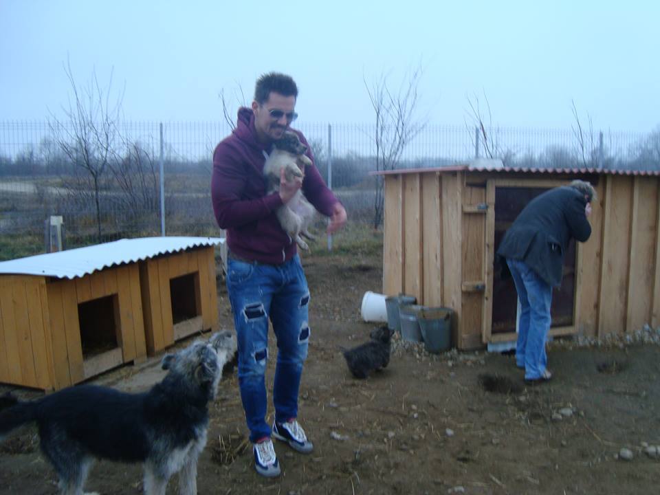 Sergiu merge des la adapostul pentru caini de langa Lugoj