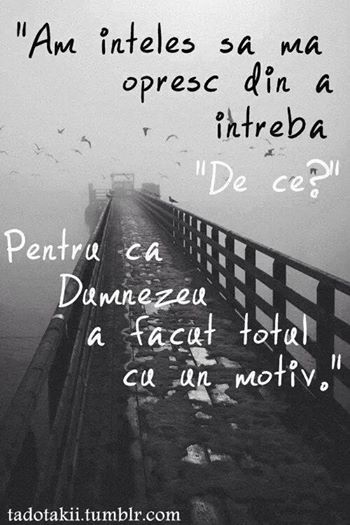 Raspunsul lui Victor la mesajul postat de Bianca