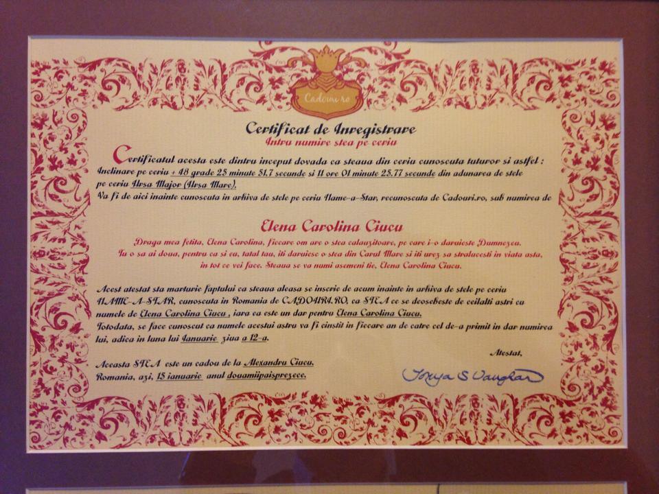 Cadoul primit de fiica Alicei Sorescu