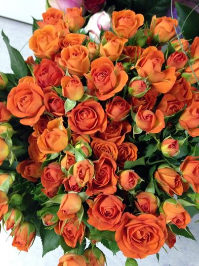 Alexandru Ciucu isi rasfata sotia