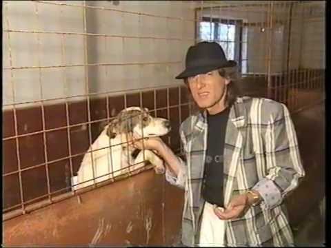 Mihai Constantinescu a fost dintotdeauna un mare iubitor al cainilor