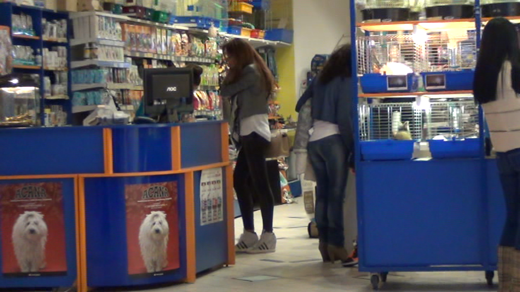 Bianca a intrat intr-un pet shop, unde a cumparat accesorii pentru caini de talie mica