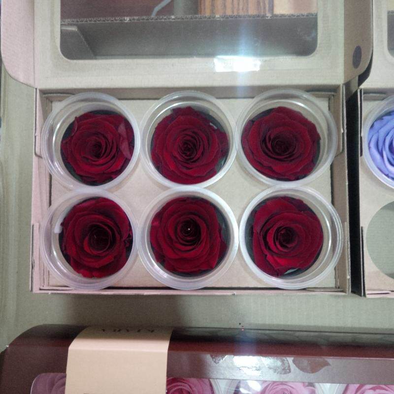 Andra si-a dorit un trandafir rosu ca focul sursa: arhiva personala