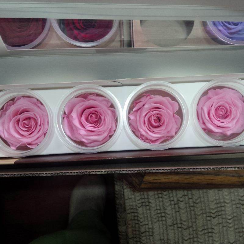 Si trandafirii roz sunt foarte draguti