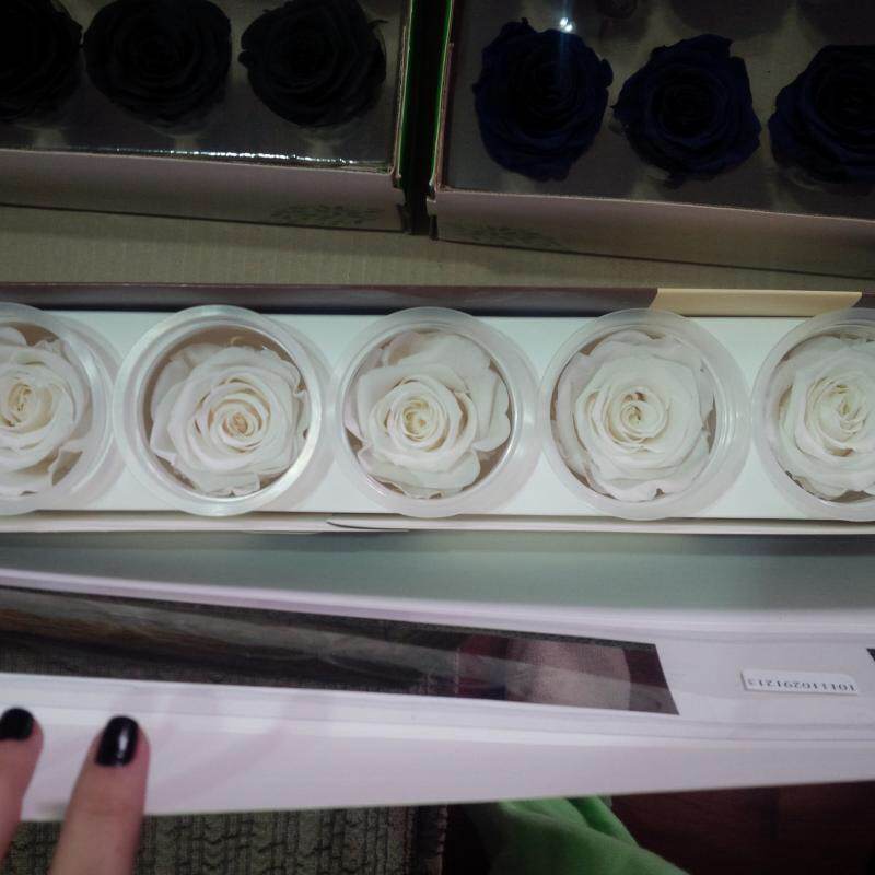 Madalina a adus din Olanda si trandafiri albi criogenati