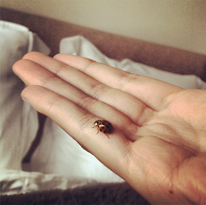 Madalina si musafirul ei nepoftit