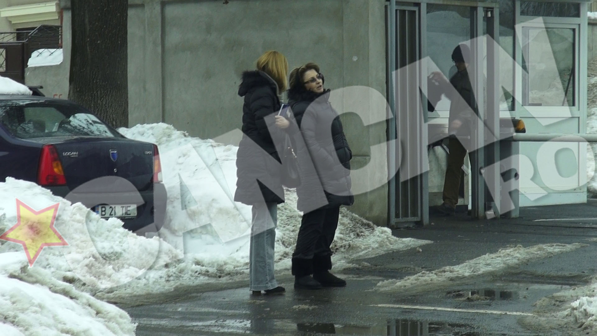 Mariana Bitang il astepta pe Octavian Bellu