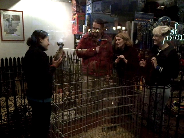 Alessandra Stoicescu si sotul ei s-au indragostit pe loc de un pui de chihuahua.