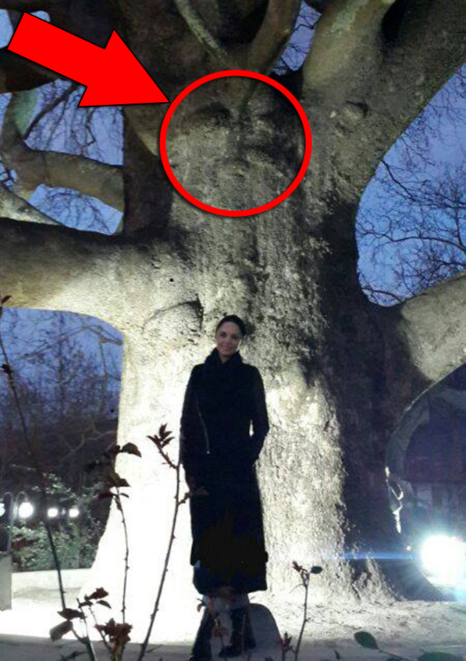 Andreea, langa un platan vechi de 6 secole