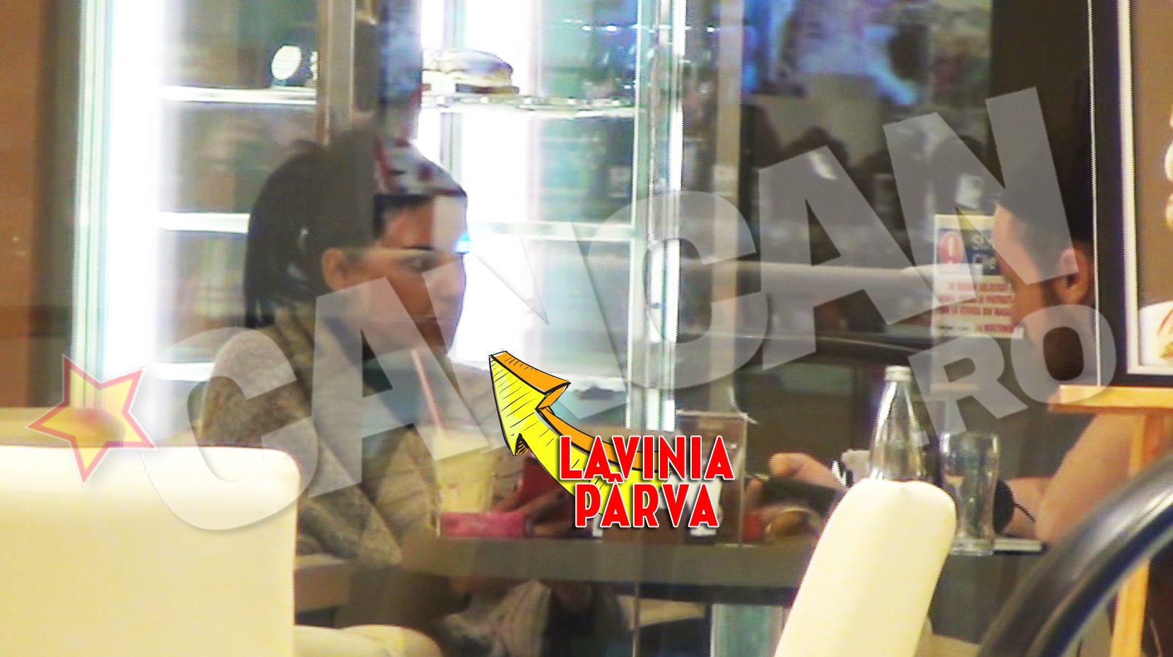 Pe toata durata intalnirii cu amicul sau, Lavinia nu a schitat nici macar un zambet