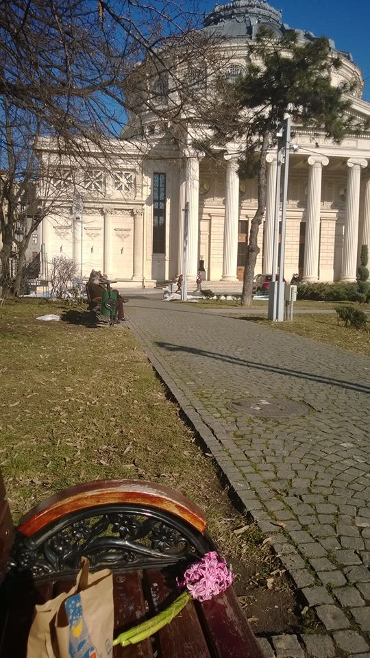 Dana Savuica le-a aratat fanilor cum si-a petrecut Ziua Indragostitilor