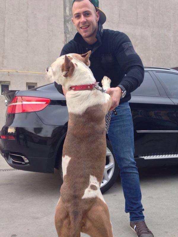 Tanarul iubeste foarte mult animalele si are mai multi caini