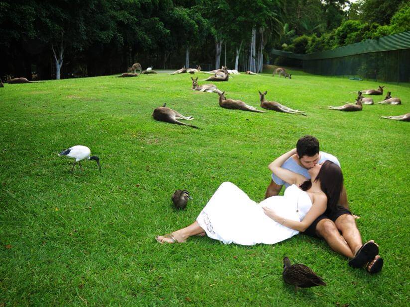 Fanii Celiei au fost incantati de aceasta imagine minunata