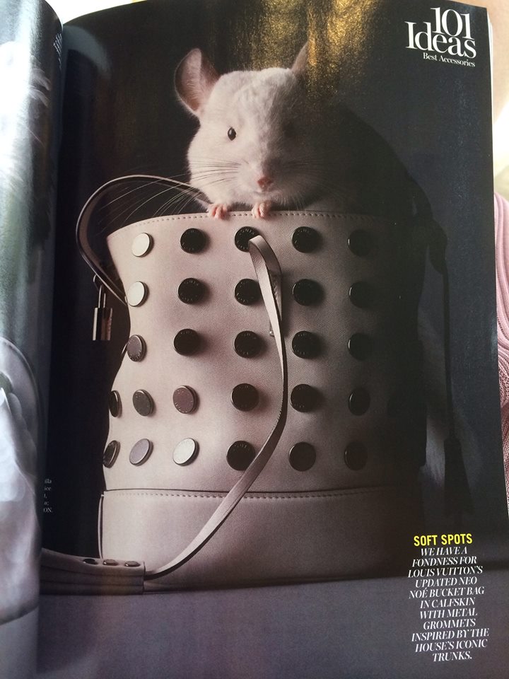 Pictorialul se numeste 