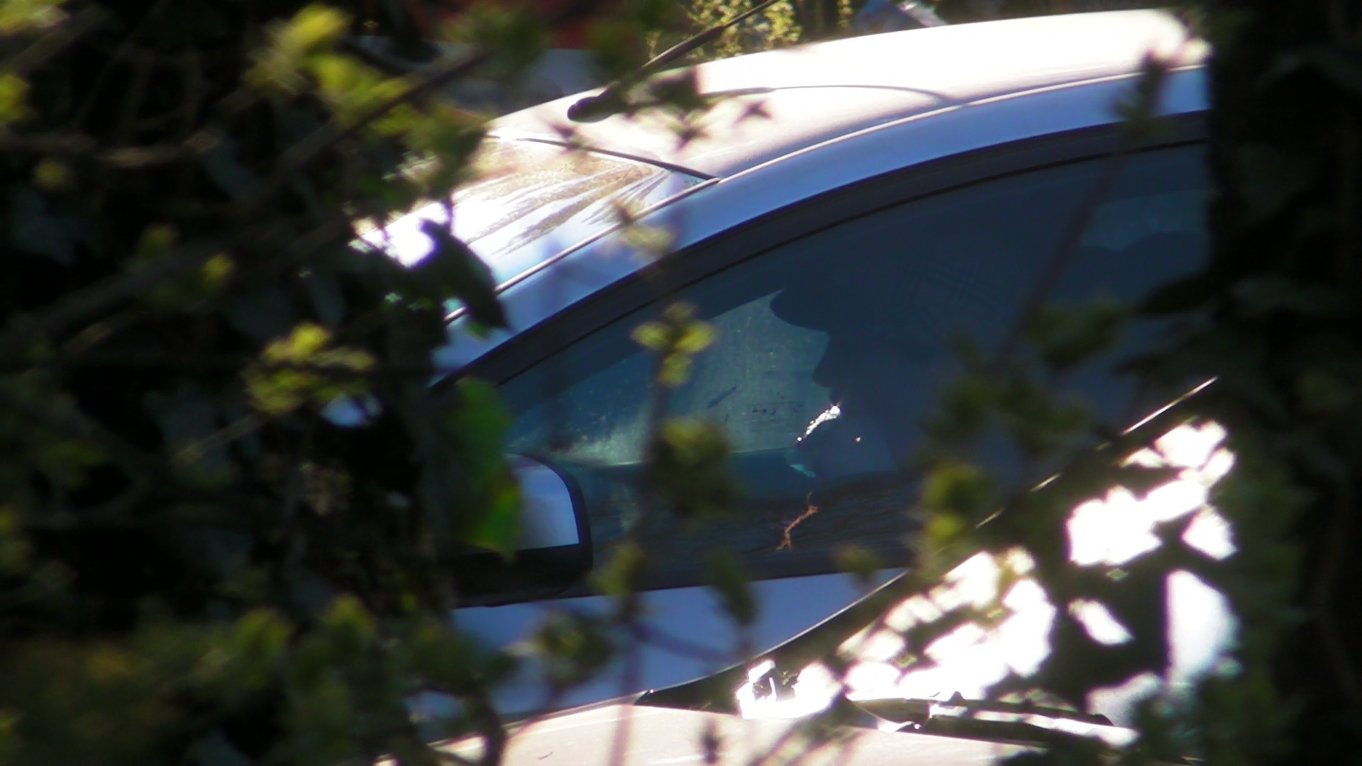 Oana a mancat o inghetata de vanilie in masina