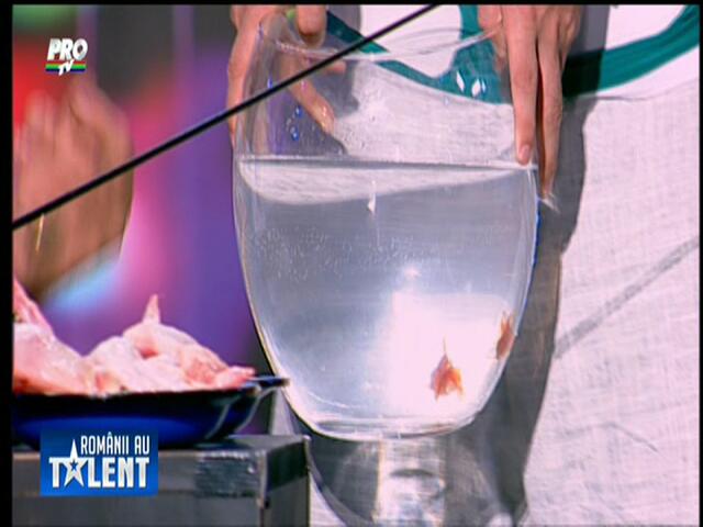 Romanii au talent