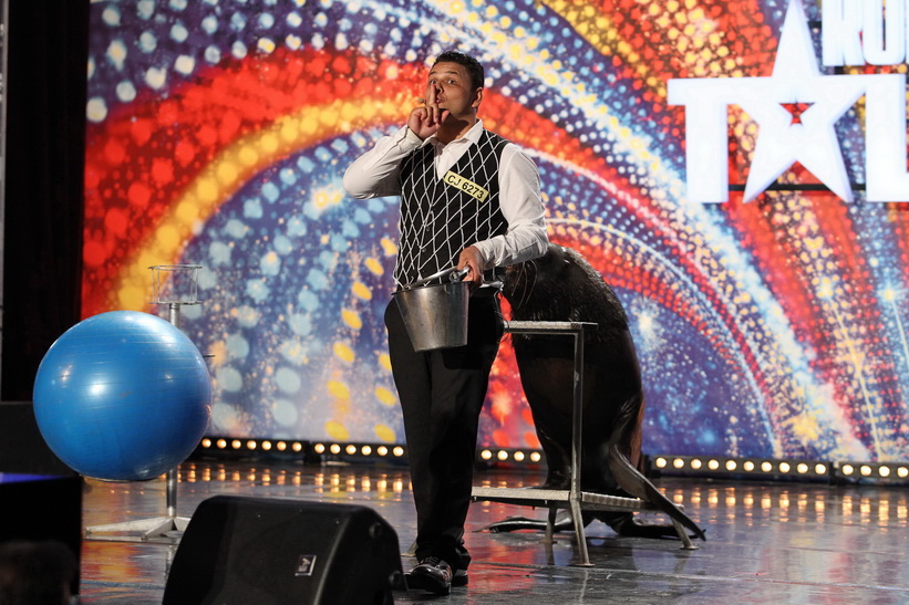 Lui Mihai Petre nu ii plac leii de mare