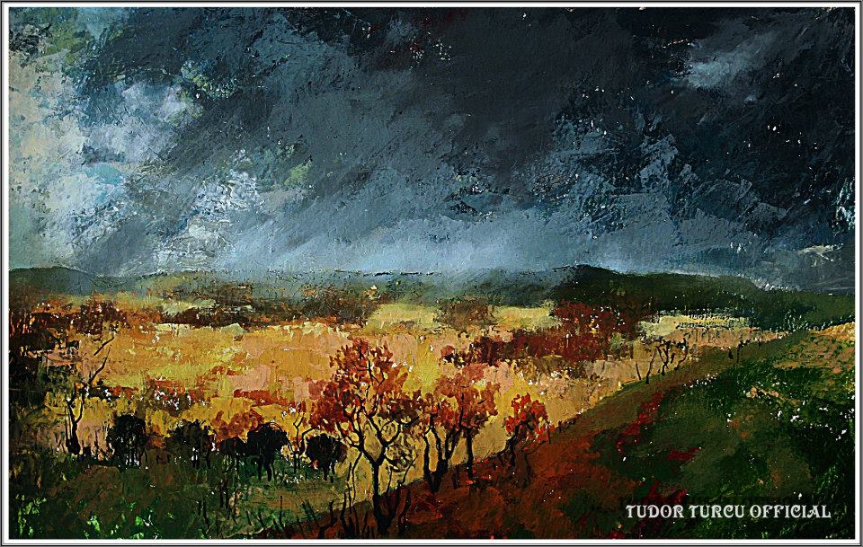 Tudor a realizat si cateva peisaje pe care le va expune in mai foto: Facebook
