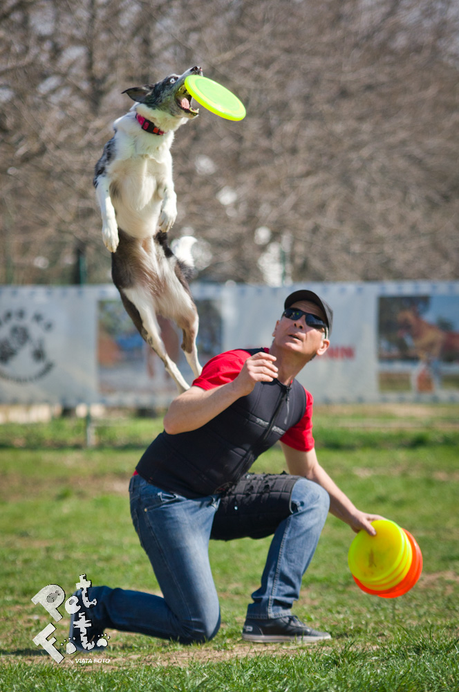 Bruno si femela J se distreaza pe cinste la antrenamente foto: Pet Foto