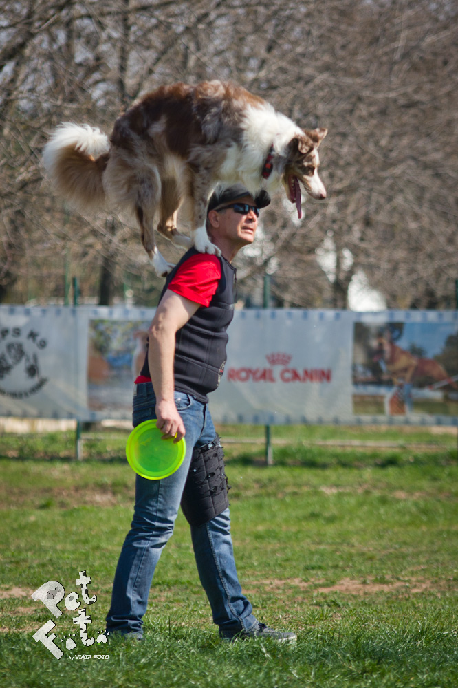Bruno Icobet si Ozzie fac un adevarat spectacol impreuna foto: Pet Foto