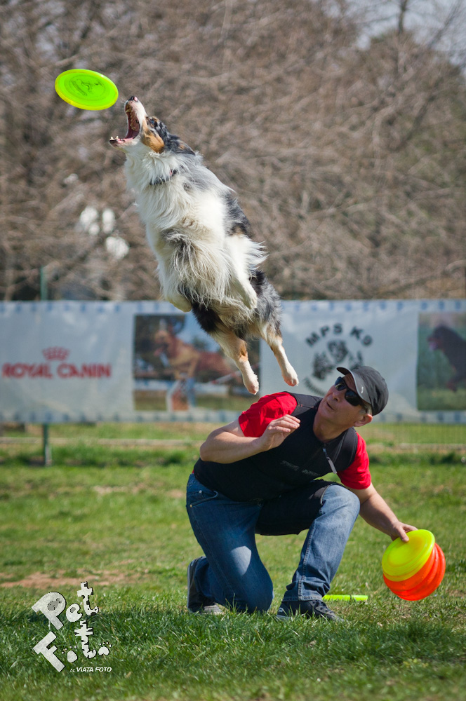 Blue este extrem de talentat la sarituri foto: Pet Foto