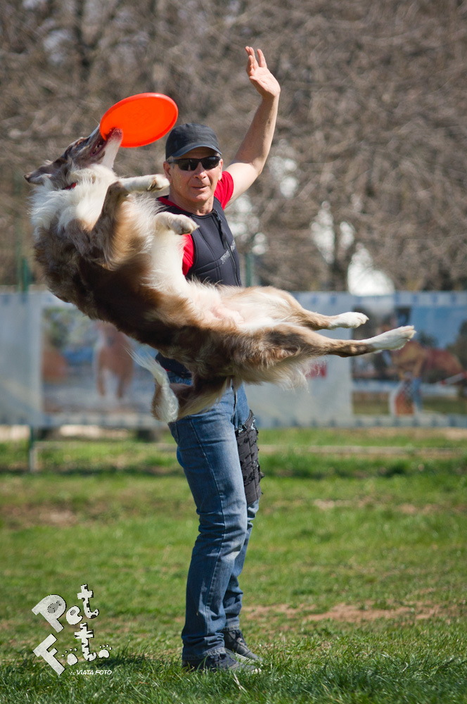 Ozzie se distreaza de mama focului cu antrenorul lor foto: Pet Foto