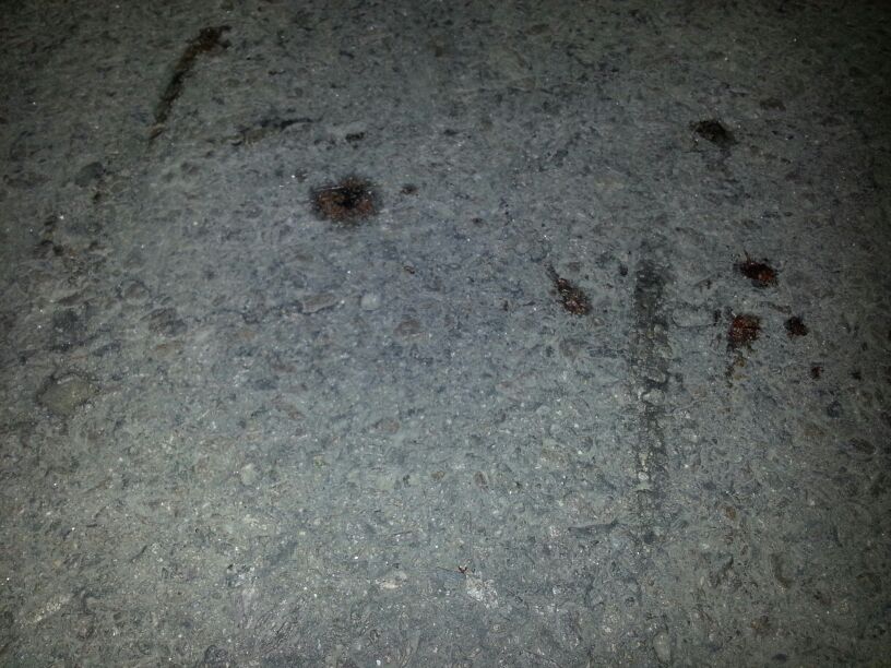 Urmele de sange lasate de pe urma muscaturilor