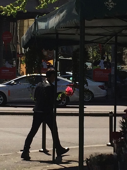 Dupa ce alege cateva lalele, cantaretul pleaca grabit