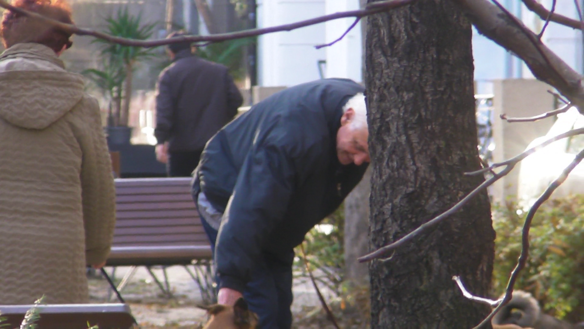 Szobi Cseh se apleaca si mangaie patrupedul vecinei, desi are pe coloana o tumoare