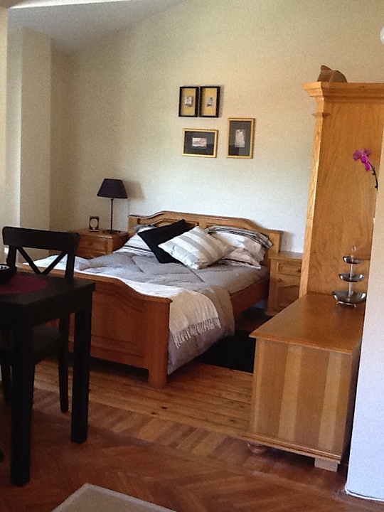 garsoniera iolanda nicolaescu