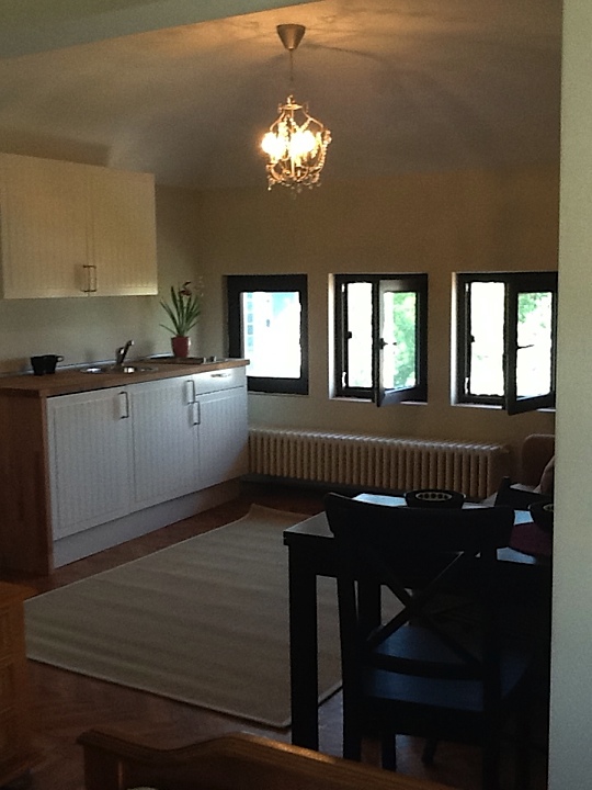 garsoniera iolanda nicolaescu