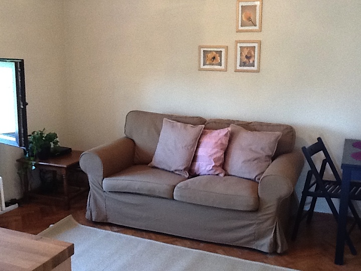 garsoniera iolanda nicolaescu