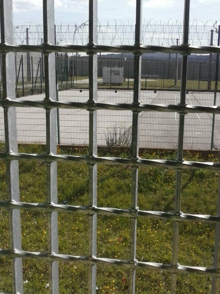 Aceasta este privelistea pe care Frank o vede in fiecare dimineata