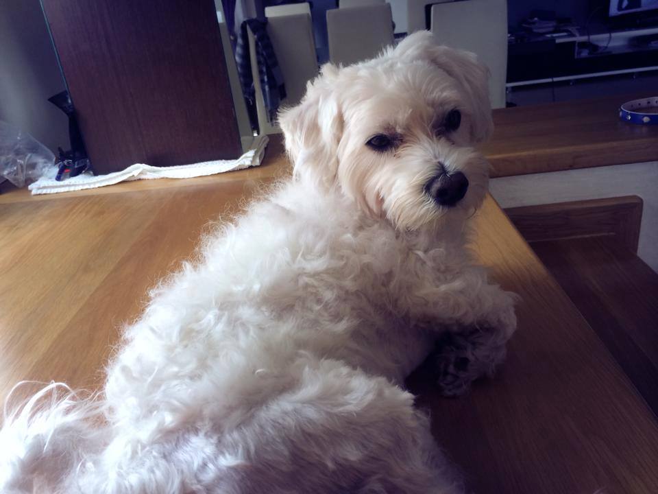 Viorica si Margherita Clejani