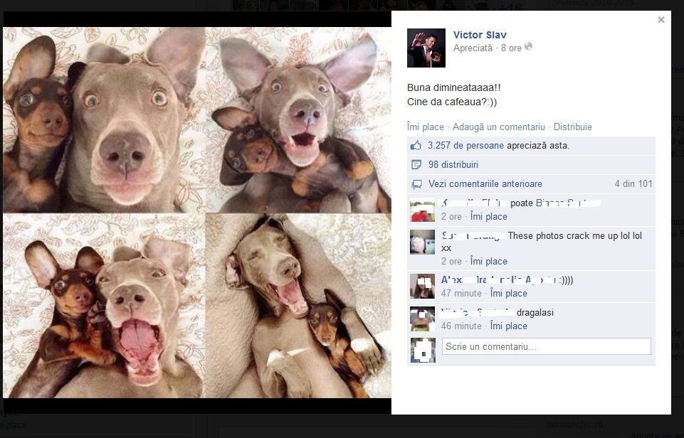 Victor a publicat si el aceeasi poza pe contul sau, in data de 4 mai
