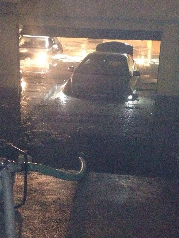 Cele doua locuri de parcare ale Vicai Blochina ar fi costat 48.000 de euro