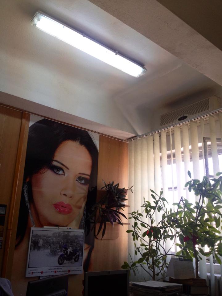 In biroul Comisarului Sef Legistica, exista un poster imens cu Oana Zavoranu
