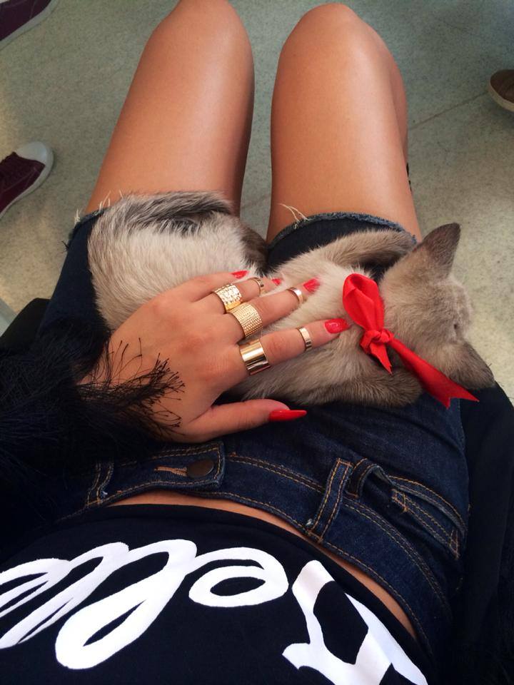 Astazi, vedeta a primit cadou o pisicuta care ii va fi alaturi de acum inainte