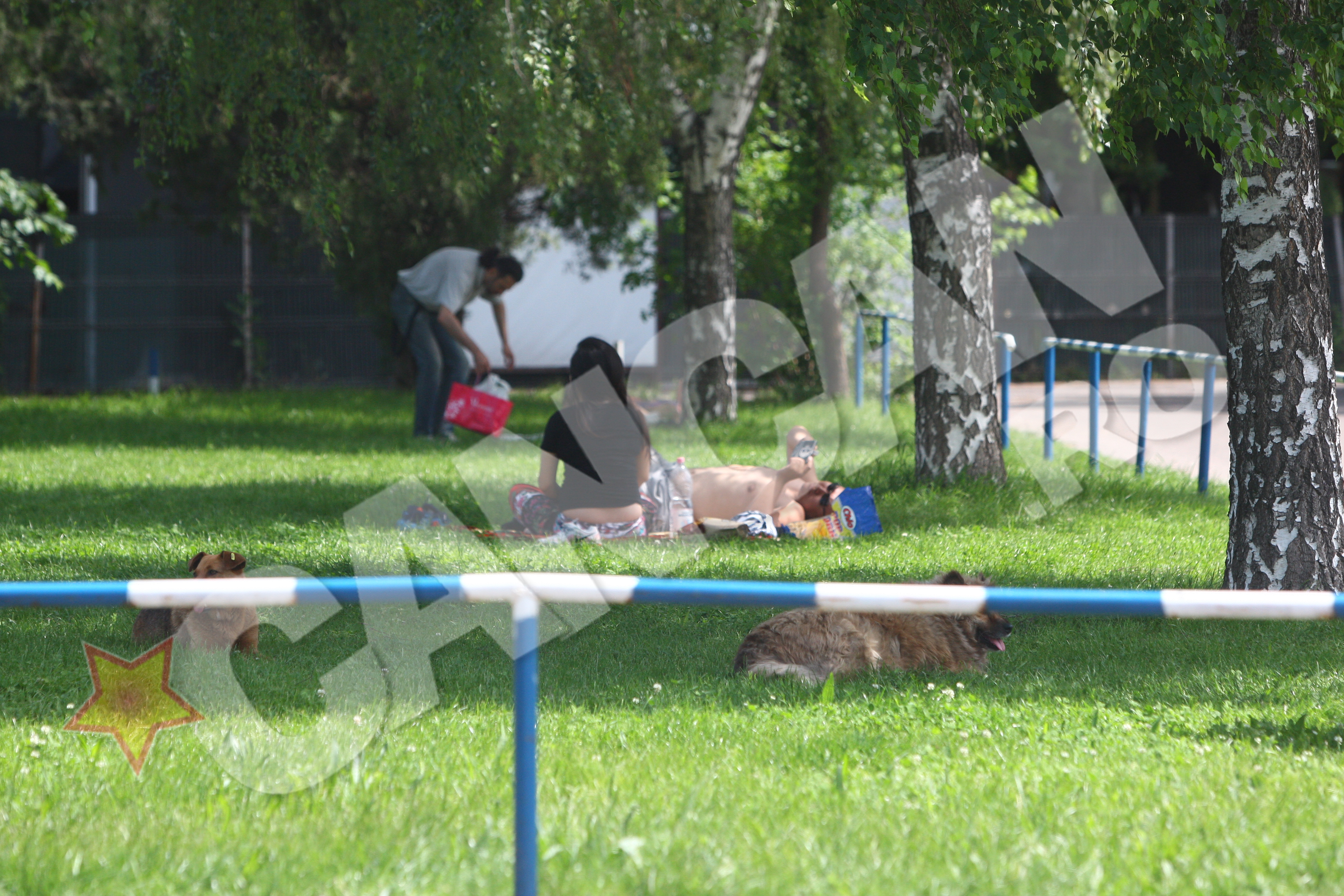 Parcul Studentesc Tei