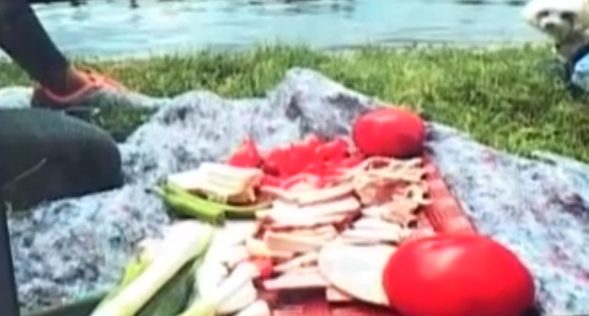De 1 Iunie, Bianca a facut picnic in aer liber, cu rosii, branza si ceapa