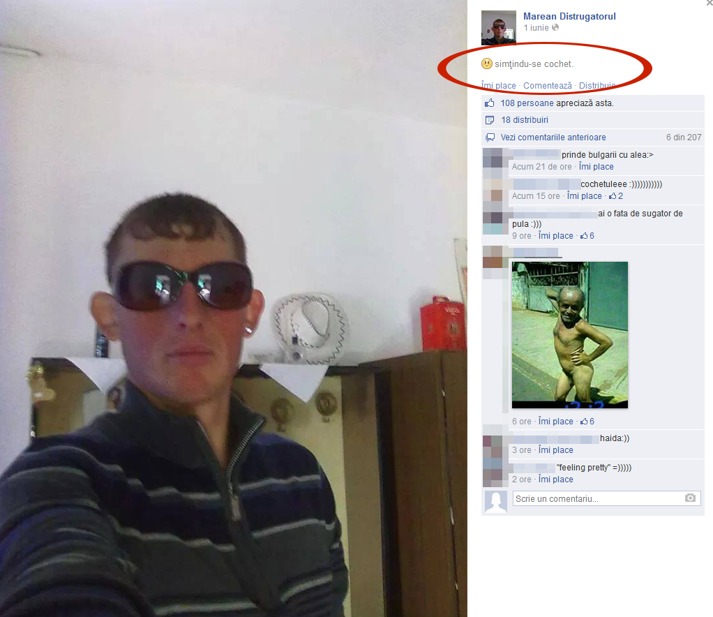 Marean Distrugatorul