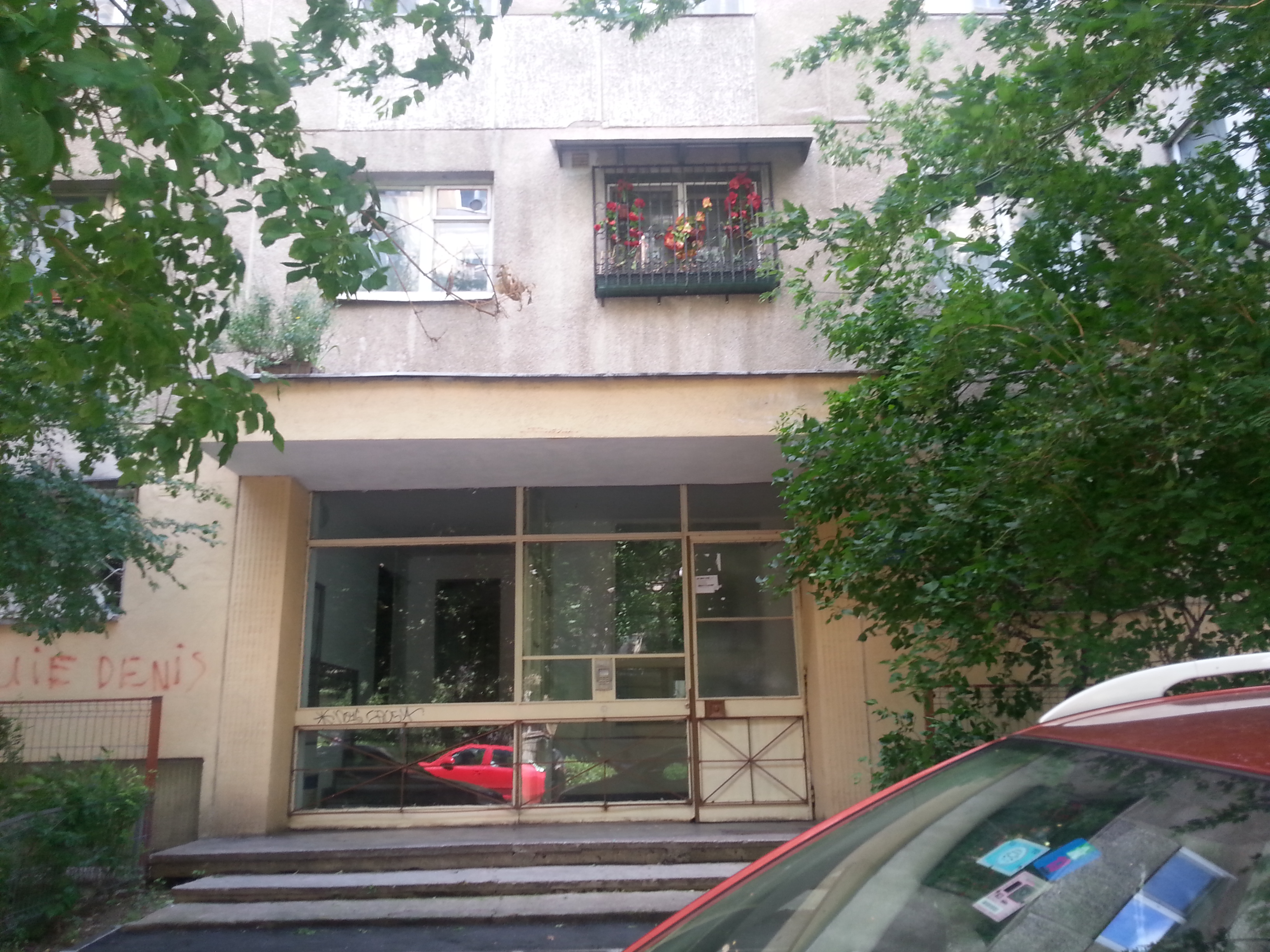 Doar florile artificiale de la geam au mai ramas de apartamentul lui Marian Nistor