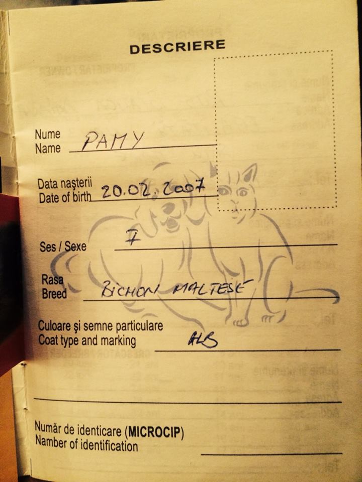 Bruneta a facut public carnetul lui Pamy, pentru ca oricine sa o poata recunoaste