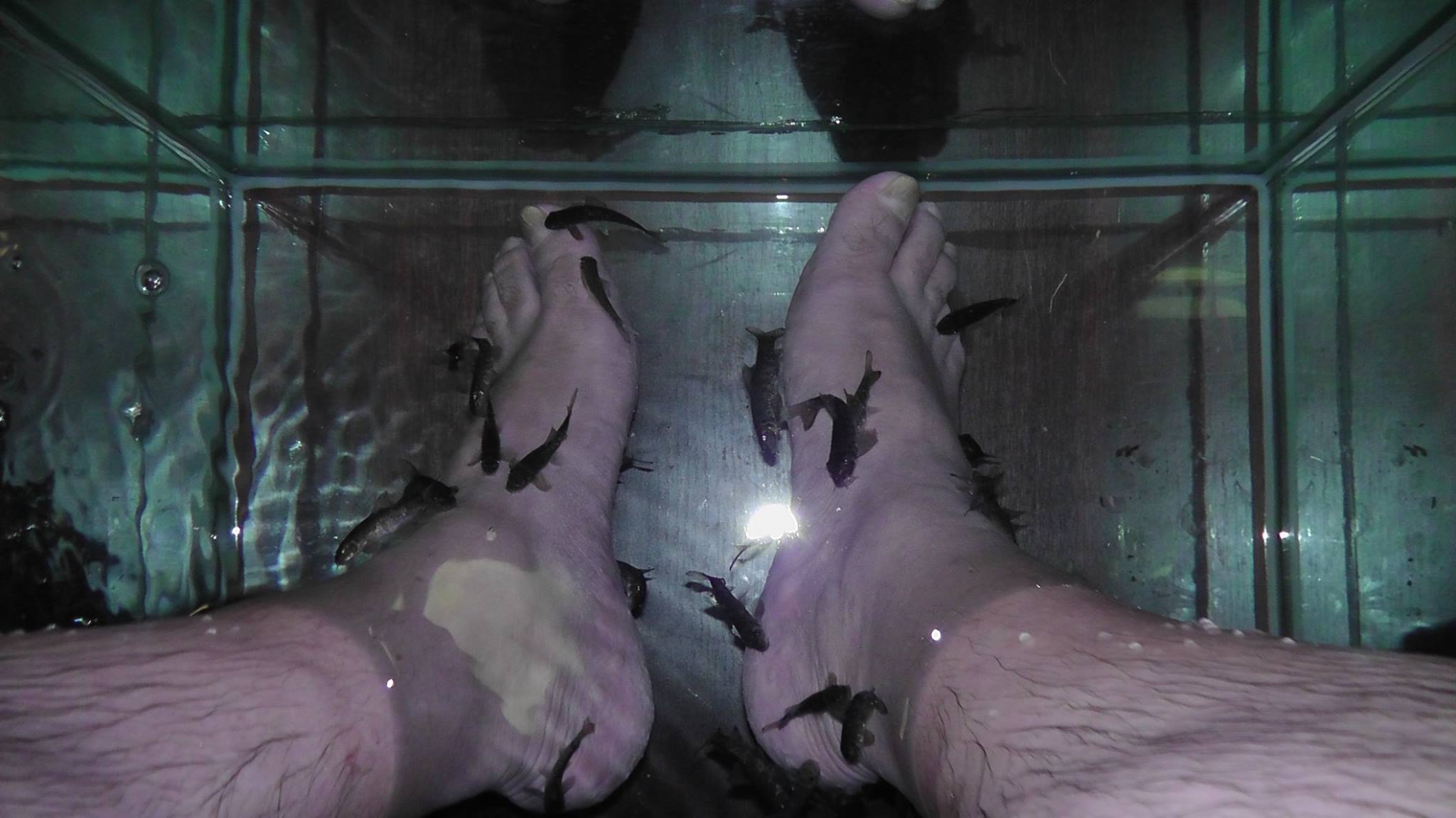 Asa arata acum unghiile interlopului