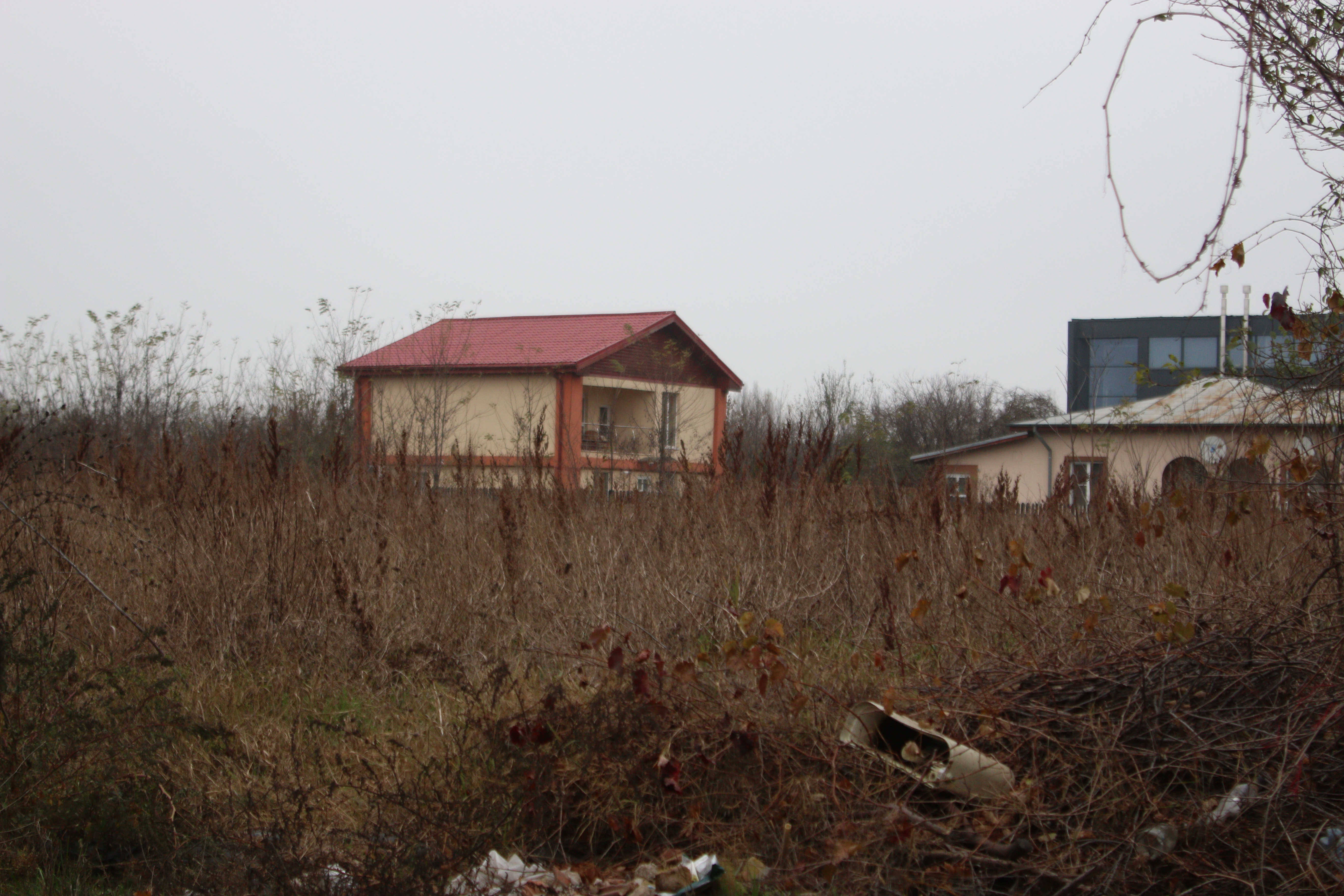 In jurul casei lui Serban Ionescu au crescut balariile