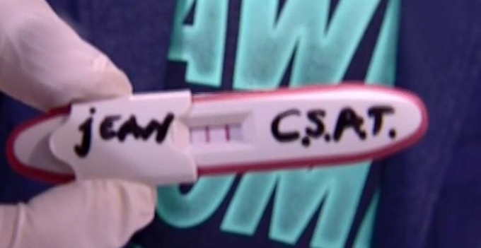 Pe testul de sarcina au aparut doua linii, ceea ce inseamna ca Giulia a gravida