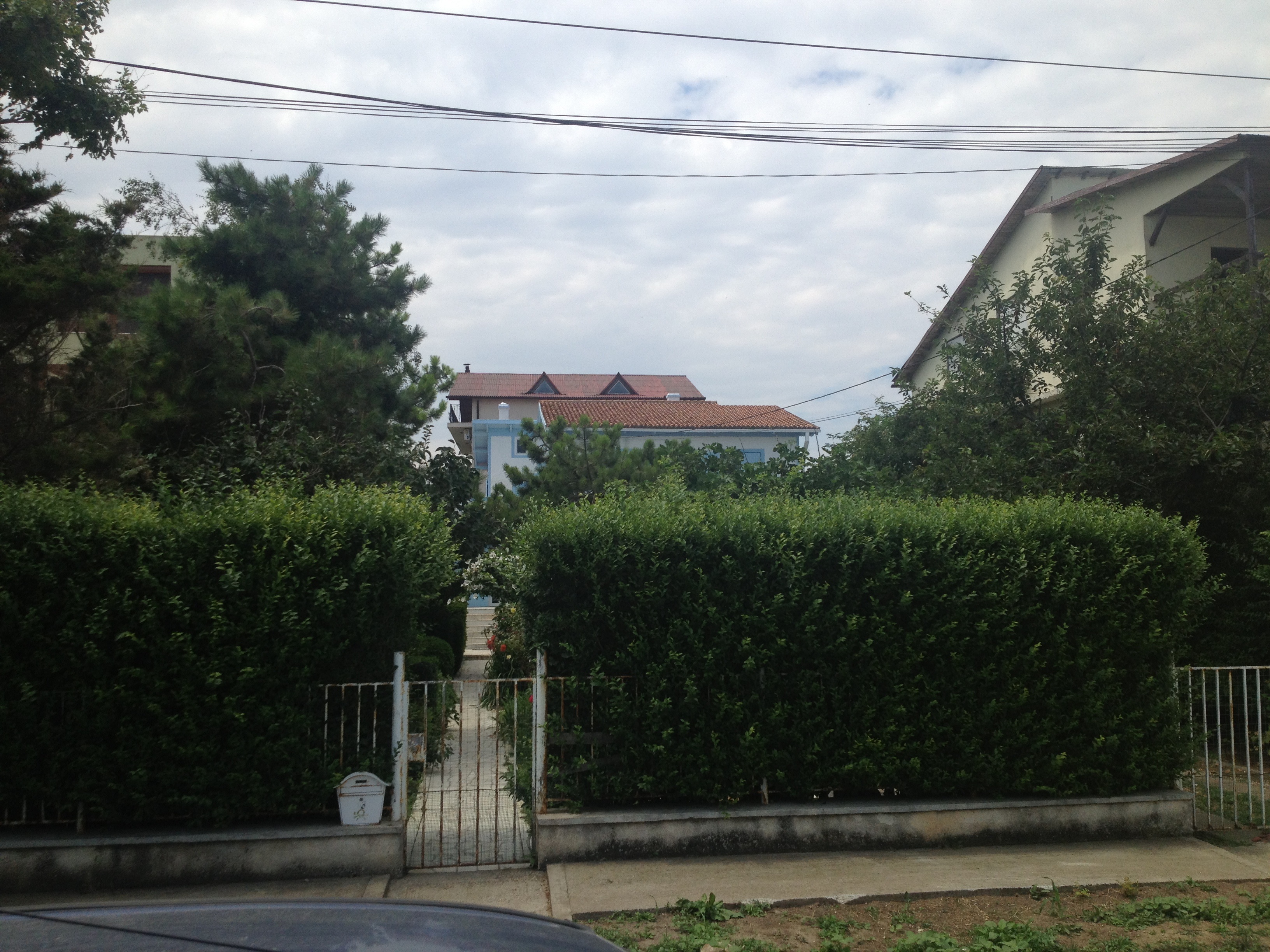 Vila este flancata de un gard viu, inalt, pentru a tine la distanta curiosii