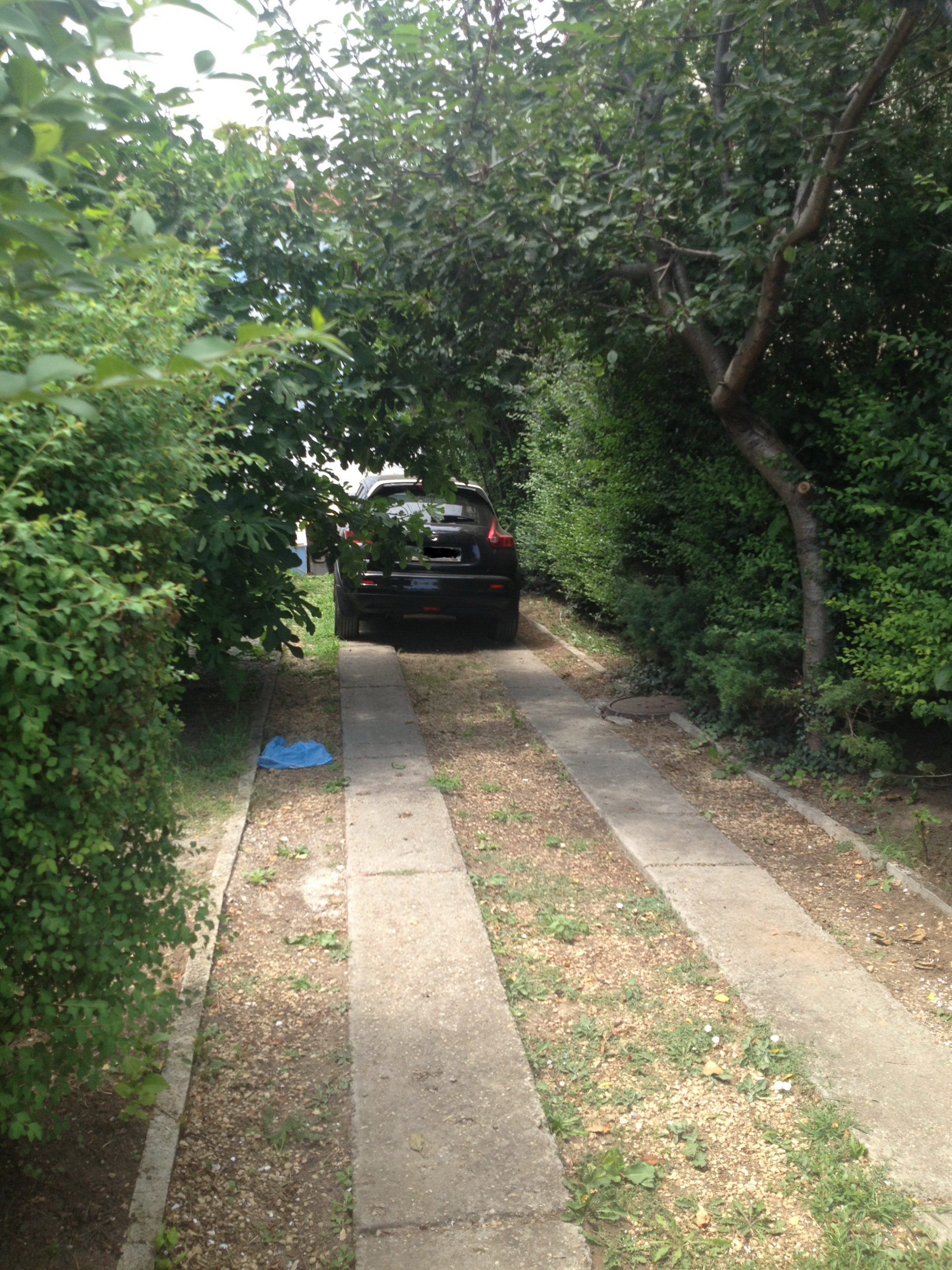 Masina Danei Nicolaescu este parcata in curtea casei