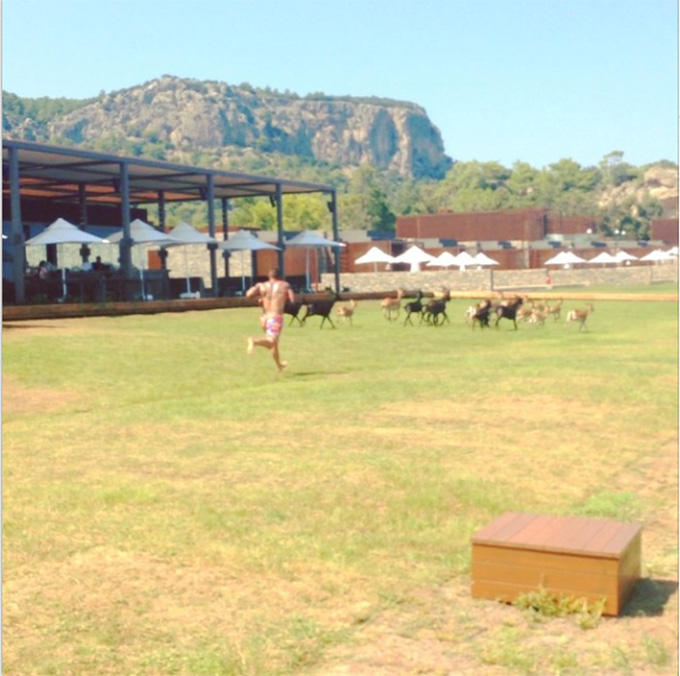 Alex Velea a alergat dupa o turma de capre, in vacanta