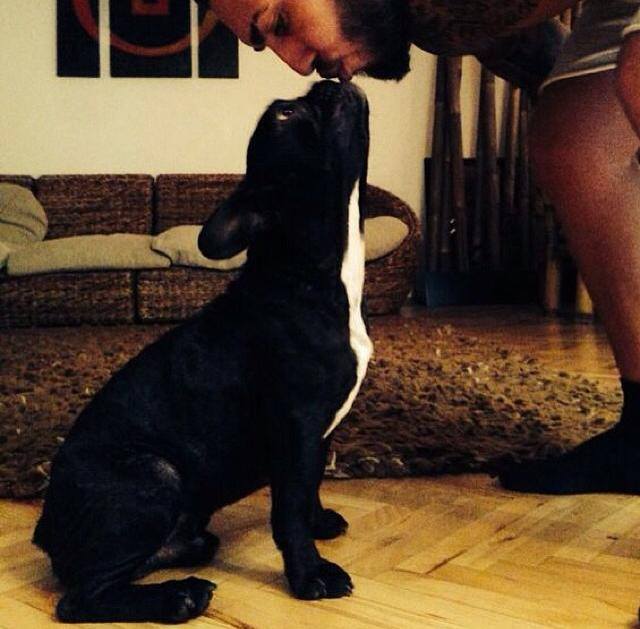 Alex a facut publica o fotografie in care il pupa pe gura pe Boy